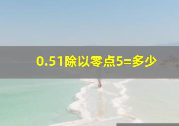 0.51除以零点5=多少