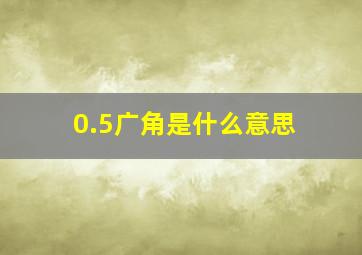 0.5广角是什么意思