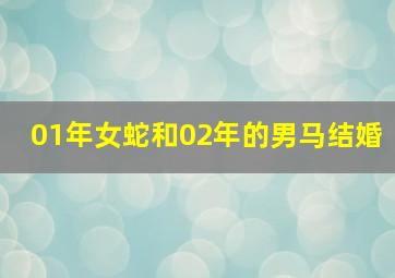 01年女蛇和02年的男马结婚