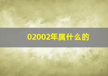 02002年属什么的