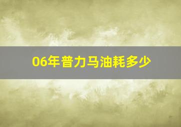 06年普力马油耗多少