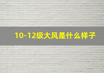 10-12级大风是什么样子