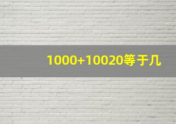 1000+10020等于几