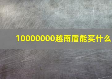 10000000越南盾能买什么