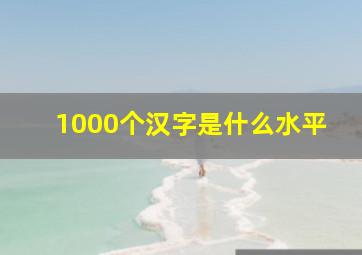 1000个汉字是什么水平