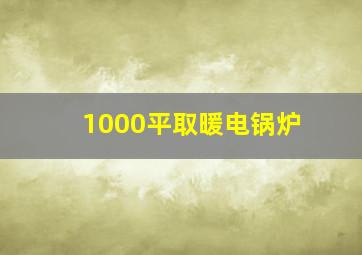 1000平取暖电锅炉