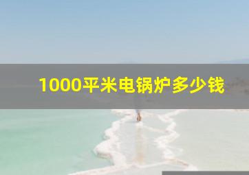 1000平米电锅炉多少钱