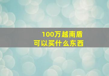 100万越南盾可以买什么东西