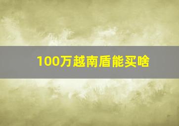 100万越南盾能买啥