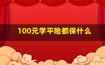 100元学平险都保什么