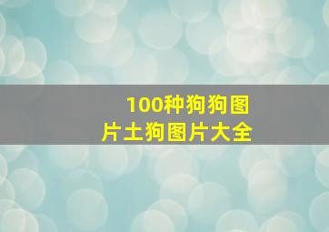 100种狗狗图片土狗图片大全