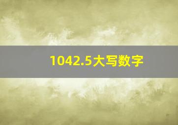 1042.5大写数字