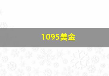 1095美金