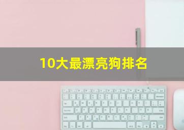 10大最漂亮狗排名