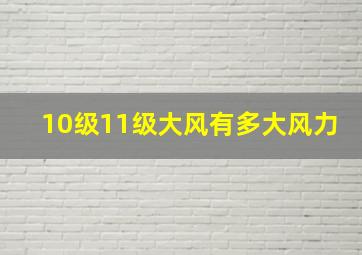 10级11级大风有多大风力