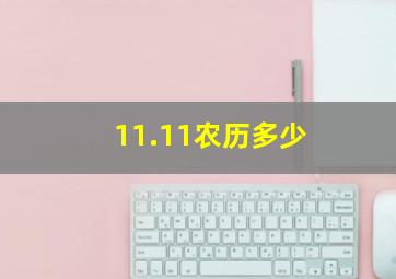 11.11农历多少