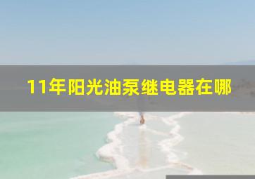 11年阳光油泵继电器在哪