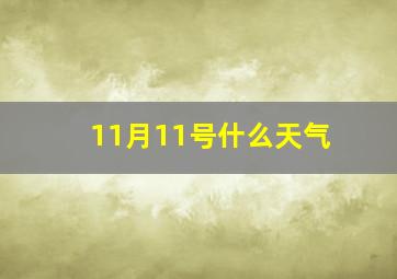 11月11号什么天气