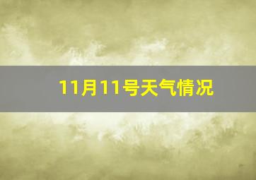 11月11号天气情况