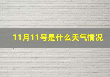 11月11号是什么天气情况