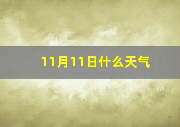 11月11日什么天气