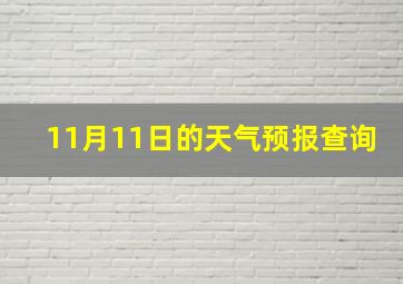 11月11日的天气预报查询