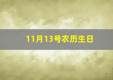 11月13号农历生日