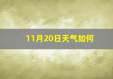 11月20日天气如何