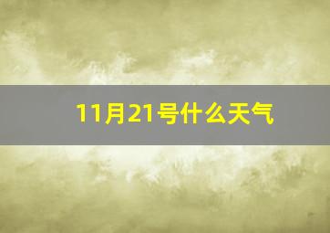 11月21号什么天气