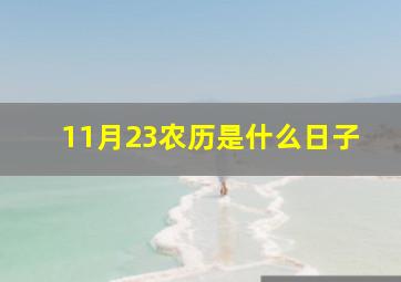 11月23农历是什么日子