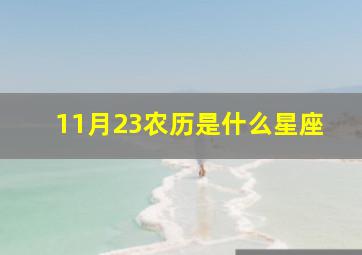 11月23农历是什么星座