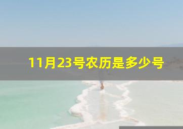 11月23号农历是多少号