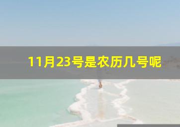 11月23号是农历几号呢