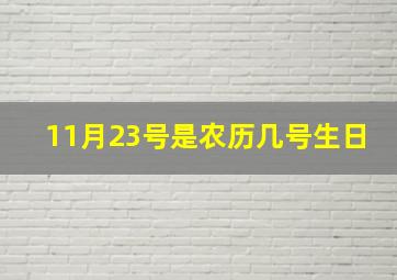 11月23号是农历几号生日