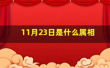 11月23日是什么属相