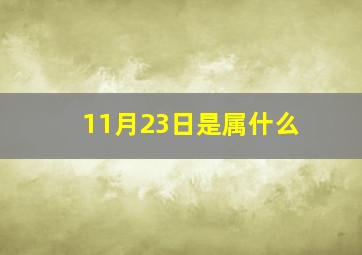 11月23日是属什么