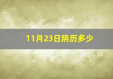 11月23日阴历多少