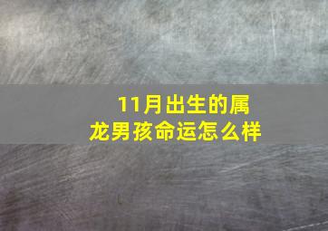 11月出生的属龙男孩命运怎么样