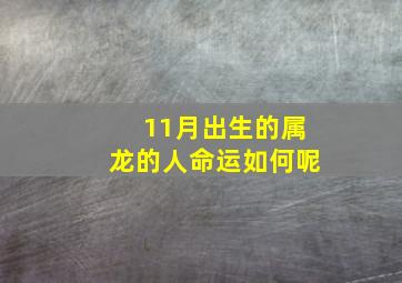 11月出生的属龙的人命运如何呢