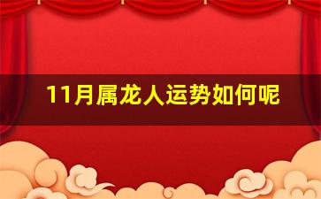 11月属龙人运势如何呢