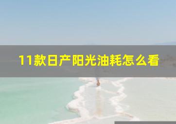 11款日产阳光油耗怎么看