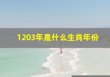 1203年是什么生肖年份