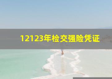 12123年检交强险凭证