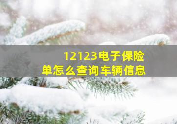 12123电子保险单怎么查询车辆信息