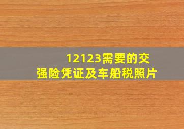 12123需要的交强险凭证及车船税照片