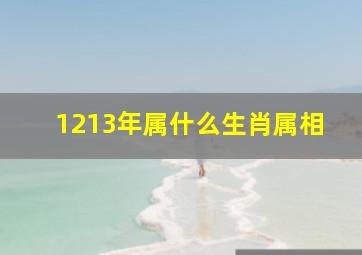 1213年属什么生肖属相