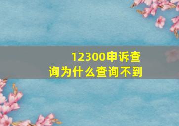 12300申诉查询为什么查询不到