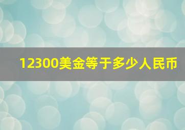 12300美金等于多少人民币