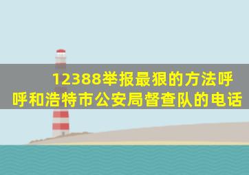 12388举报最狠的方法呼呼和浩特市公安局督查队的电话