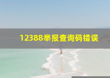 12388举报查询码错误